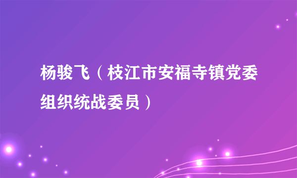 杨骏飞（枝江市安福寺镇党委组织统战委员）