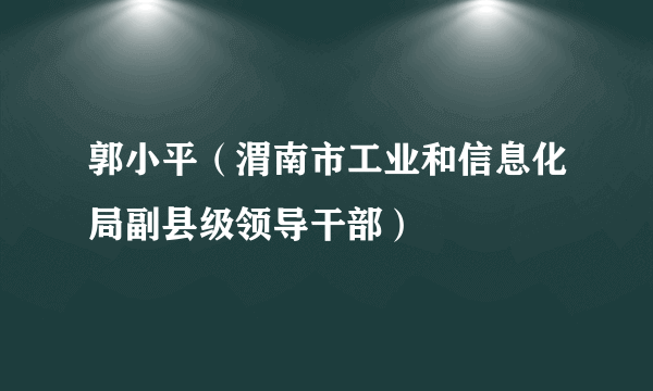 郭小平（渭南市工业和信息化局副县级领导干部）