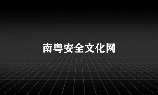 南粤安全文化网