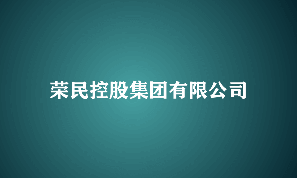 荣民控股集团有限公司