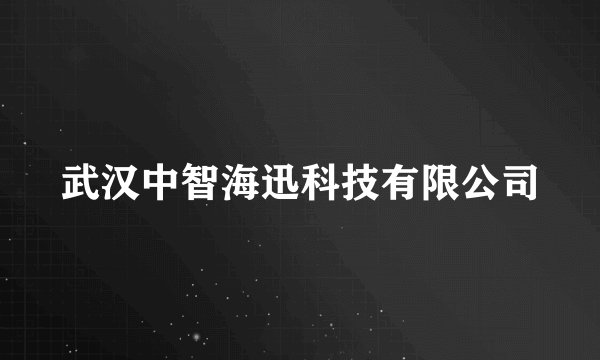 武汉中智海迅科技有限公司