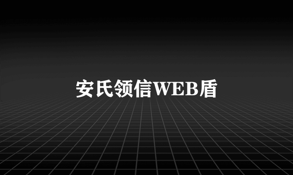 安氏领信WEB盾