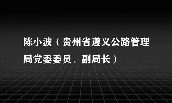 陈小波（贵州省遵义公路管理局党委委员、副局长）