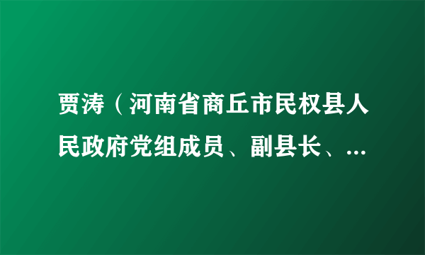 贾涛（河南省商丘市民权县人民政府党组成员、副县长、公安局局长）