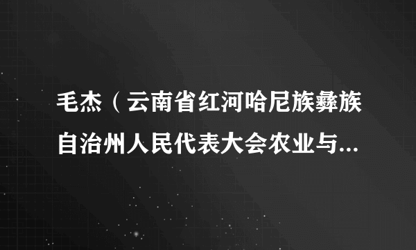 毛杰（云南省红河哈尼族彝族自治州人民代表大会农业与农村委员会副主任委员）