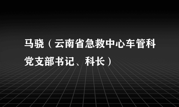 马骁（云南省急救中心车管科党支部书记、科长）