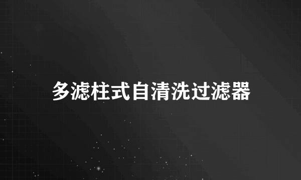 多滤柱式自清洗过滤器