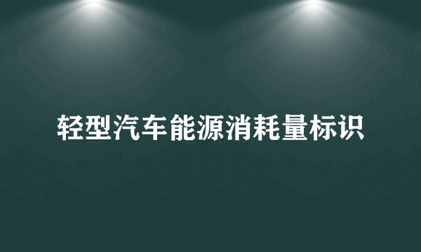 轻型汽车能源消耗量标识