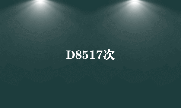 D8517次