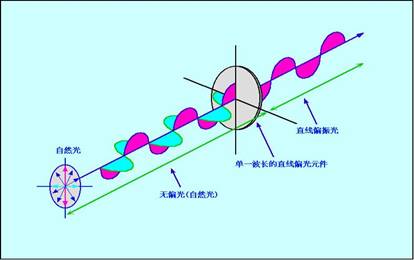 偏振光（光学名词）