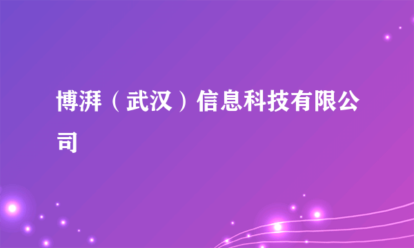 博湃（武汉）信息科技有限公司