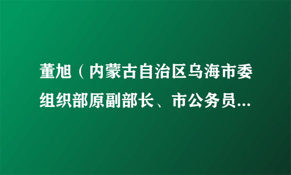 董旭（内蒙古自治区乌海市委组织部原副部长、市公务员局原局长）