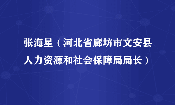 张海星（河北省廊坊市文安县人力资源和社会保障局局长）