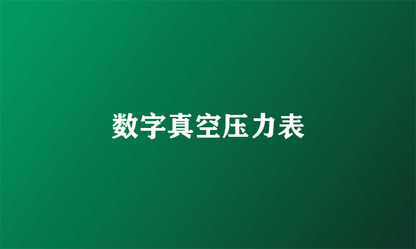 数字真空压力表