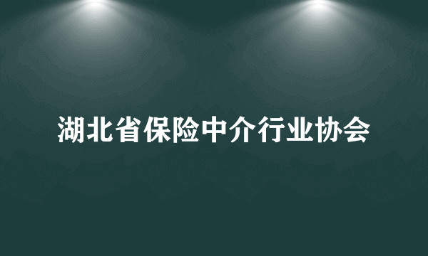 湖北省保险中介行业协会