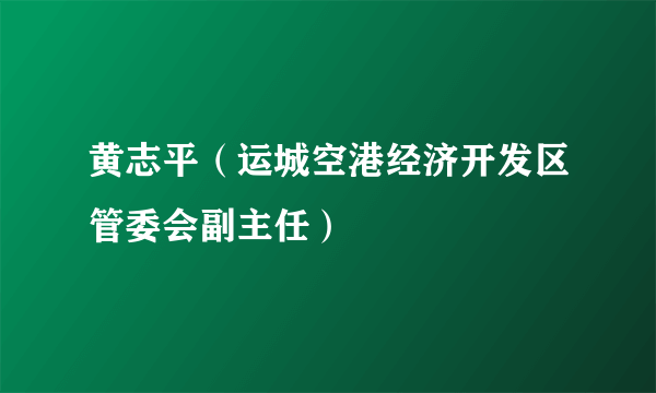 黄志平（运城空港经济开发区管委会副主任）