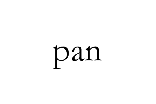 pan（求救信号）