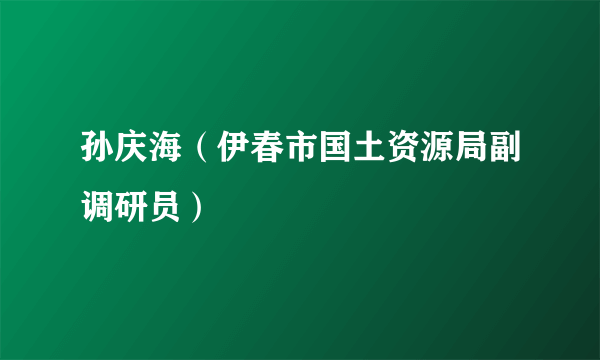 孙庆海（伊春市国土资源局副调研员）