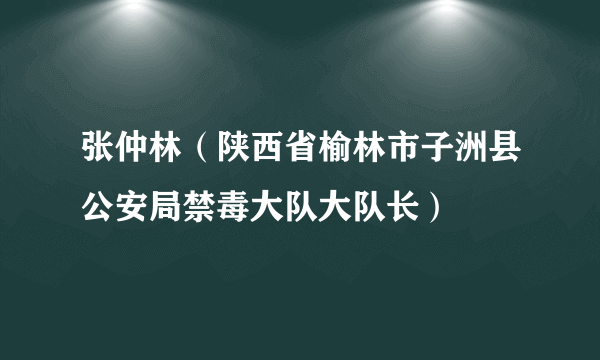 张仲林（陕西省榆林市子洲县公安局禁毒大队大队长）