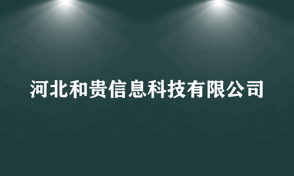 河北和贵信息科技有限公司