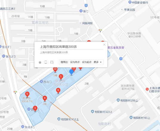 岚皋路300弄