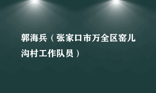 郭海兵（张家口市万全区窑儿沟村工作队员）