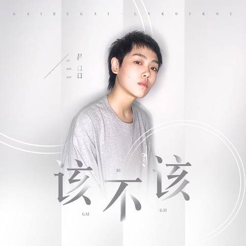 该不该（吕口口演唱歌曲）