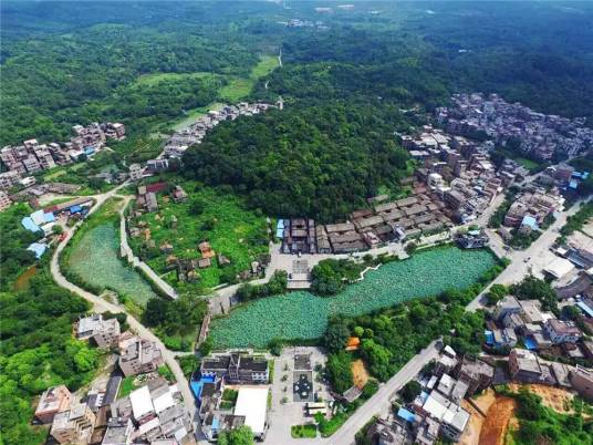 莲塘村（广东省广州市黄埔区九佛街道下辖村）