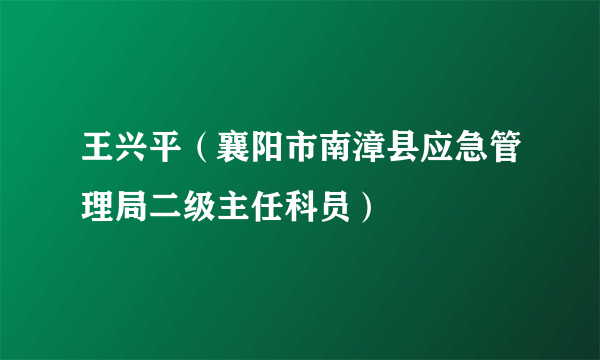 王兴平（襄阳市南漳县应急管理局二级主任科员）