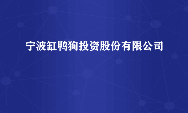 宁波缸鸭狗投资股份有限公司