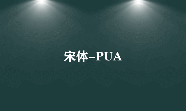 宋体-PUA