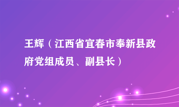 王辉（江西省宜春市奉新县政府党组成员、副县长）