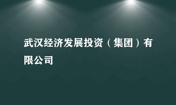 武汉经济发展投资（集团）有限公司