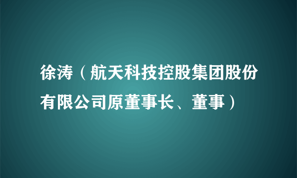 徐涛（航天科技控股集团股份有限公司原董事长、董事）