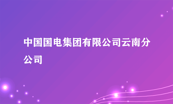 中国国电集团有限公司云南分公司