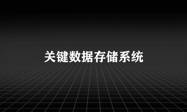 关键数据存储系统