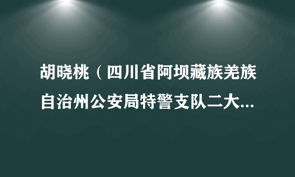 胡晓桃（四川省阿坝藏族羌族自治州公安局特警支队二大队一中队中队长）