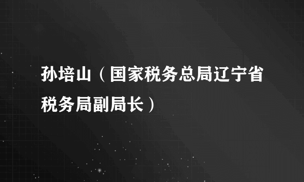 孙培山（国家税务总局辽宁省税务局副局长）