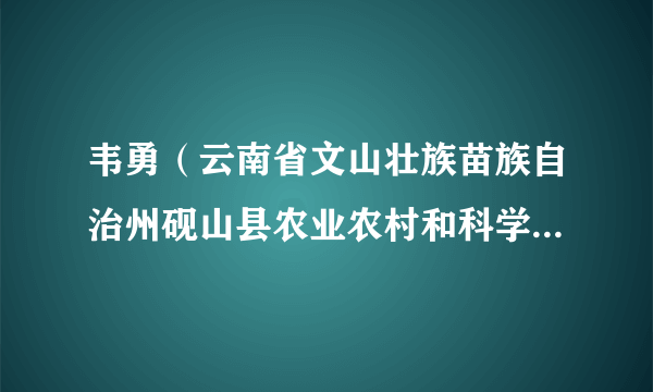 韦勇（云南省文山壮族苗族自治州砚山县农业农村和科学技术局党组成员、副局长）