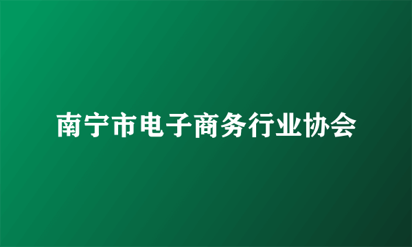 南宁市电子商务行业协会