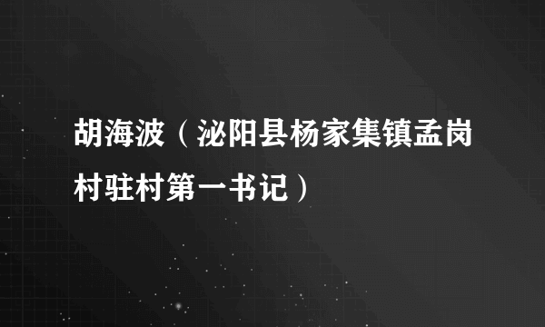 胡海波（泌阳县杨家集镇孟岗村驻村第一书记）