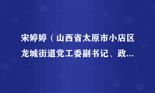 宋婷婷（山西省太原市小店区龙城街道党工委副书记、政协联络组组长）