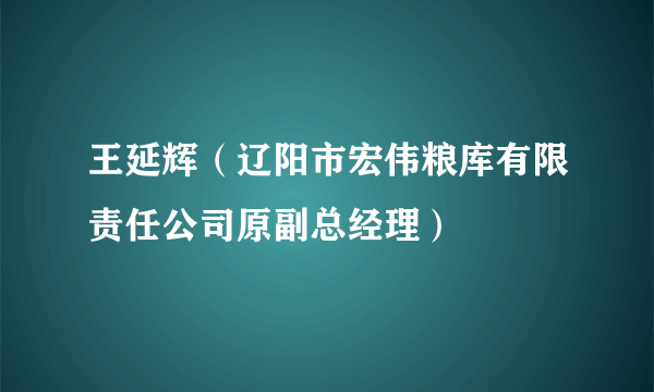 王延辉（辽阳市宏伟粮库有限责任公司原副总经理）