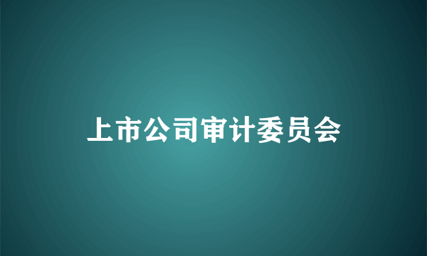 上市公司审计委员会