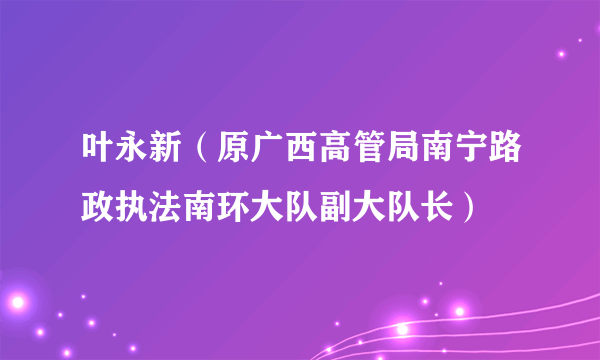 叶永新（原广西高管局南宁路政执法南环大队副大队长）