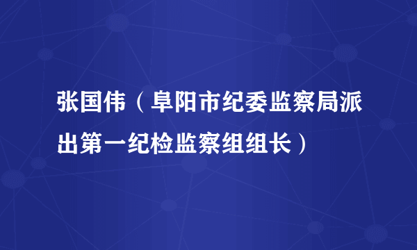 张国伟（阜阳市纪委监察局派出第一纪检监察组组长）