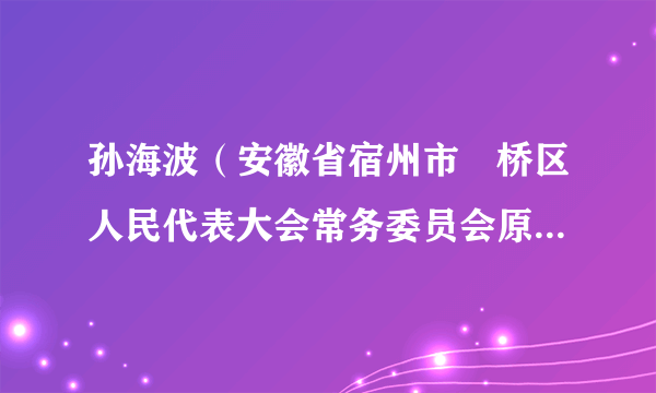 孙海波（安徽省宿州市埇桥区人民代表大会常务委员会原副主任）