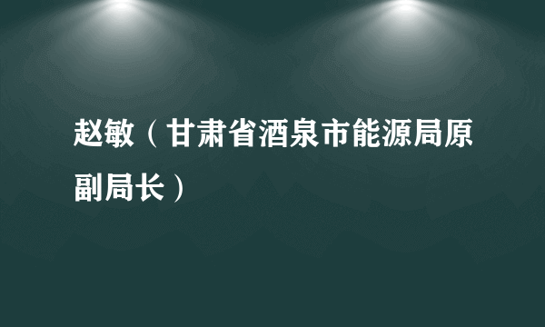 赵敏（甘肃省酒泉市能源局原副局长）