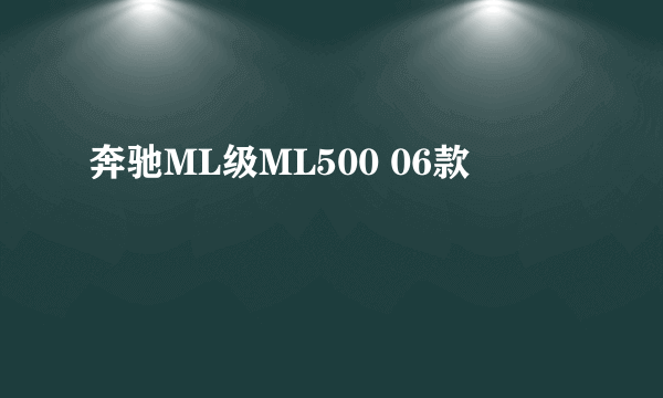 奔驰ML级ML500 06款