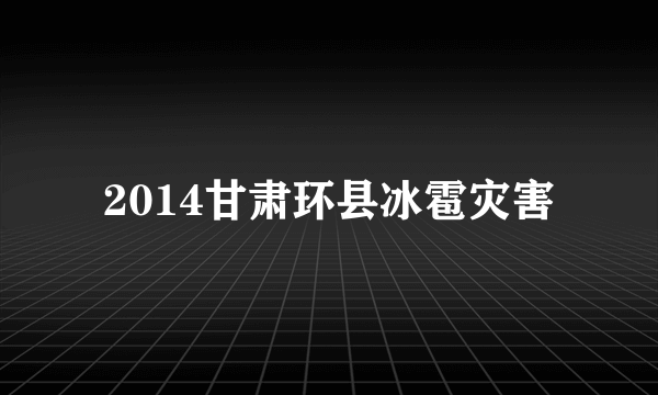 2014甘肃环县冰雹灾害